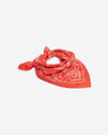 Citrus Red - Silk Bandana